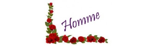 Bagues homme